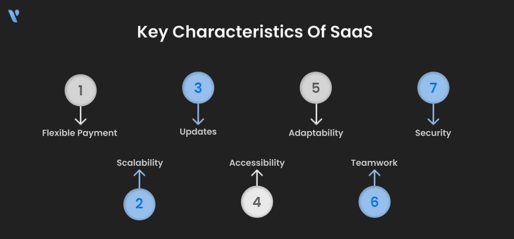 Key Characteristics of SaaS Development